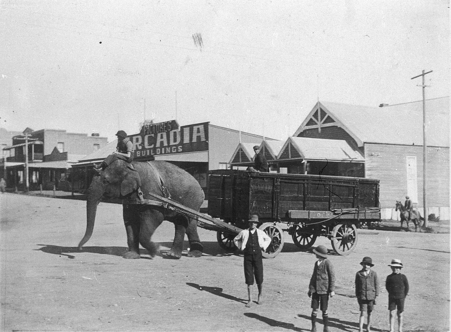 Wirths’ circus arriving in town, Wingham